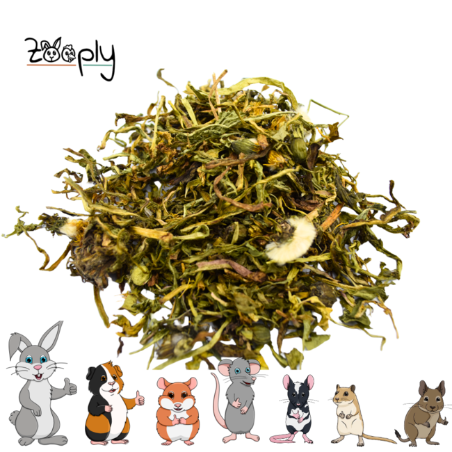 Zooply Dandelion Leaf - Dried leaves for rabbits and rodents - Healthy snack