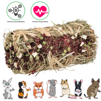 Trixie Hay Bale with Red Beet and Parsnip ø 10 × 18 cm, 200 g