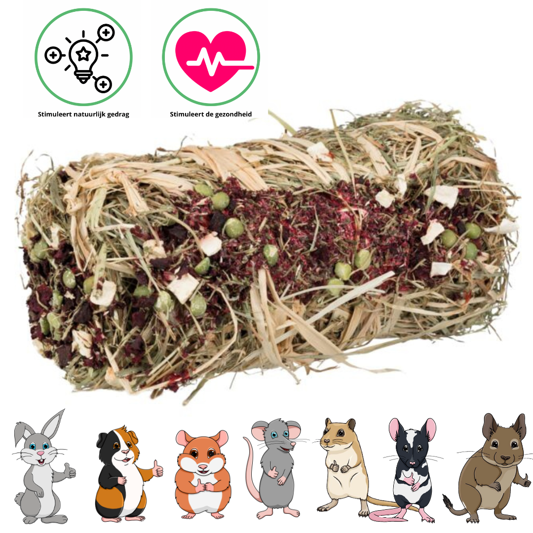Trixie Hooibaal met pompoen en wortel - Snack voor konijnen en cavia's - ø 10 × 18 cm - 200 gram