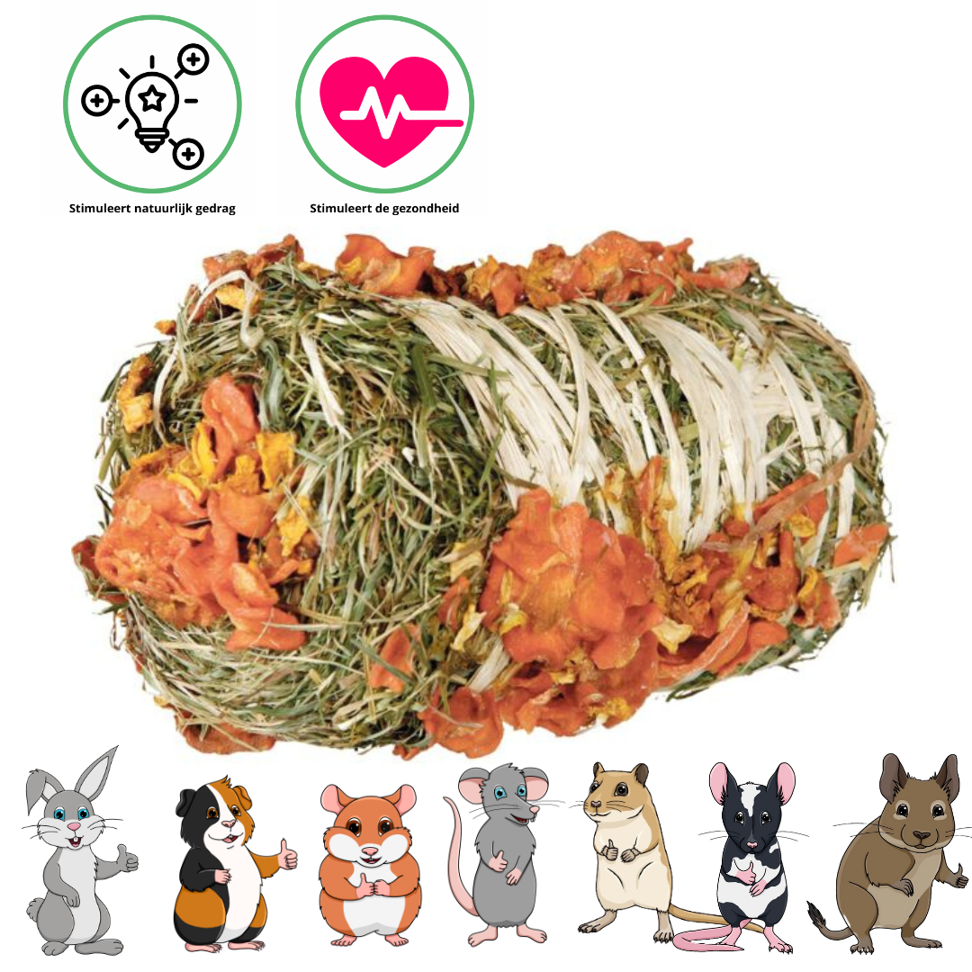 Trixie Hooibaal met pompoen en wortel - Snack voor konijnen en cavia's - ø 10 × 18 cm - 200 gram