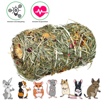 Trixie Hay Bale with Blossom Mix ø 10 × 18 cm, 200 g