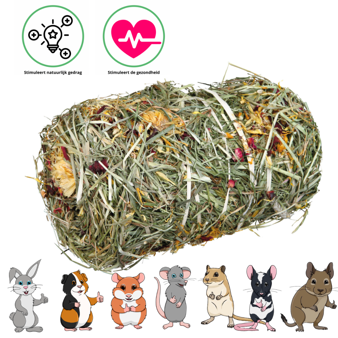 Trixie Hooibaal met bloesemmix - Snack voor konijnen en cavia's - ø 10 × 18 cm - 200 gram
