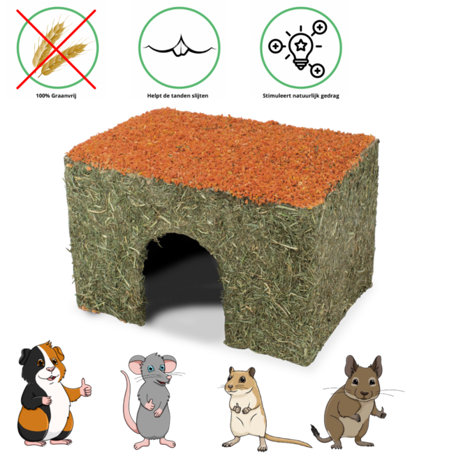 JR Farm Rodent Hay House with Carrot Medium