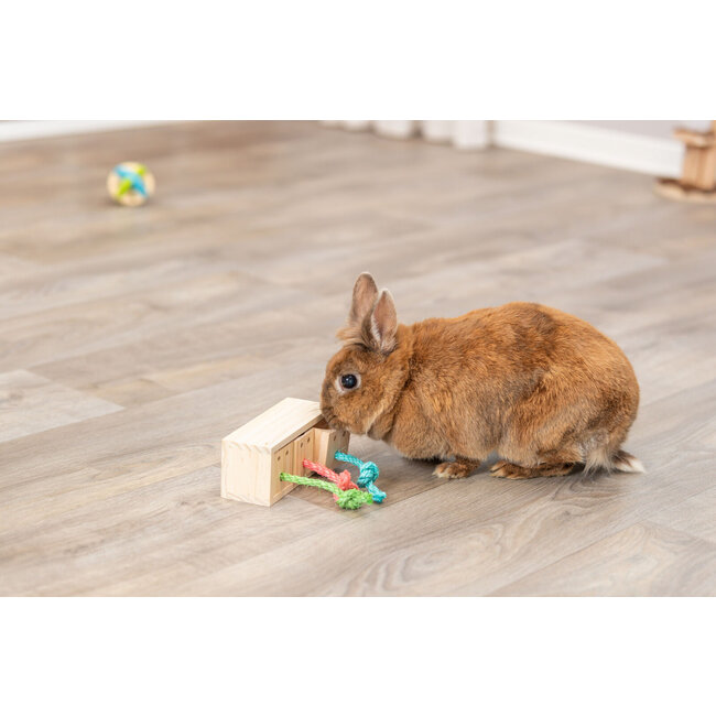 Snack kubus - Verrijkingspeelgoed voor konijnen en knaagdieren - 15 × 5,5 × 6 cm - Hout