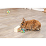Snack cube - enrichment toy for rabbits and rodents - 15 × 5.5 × 6 cm - wood