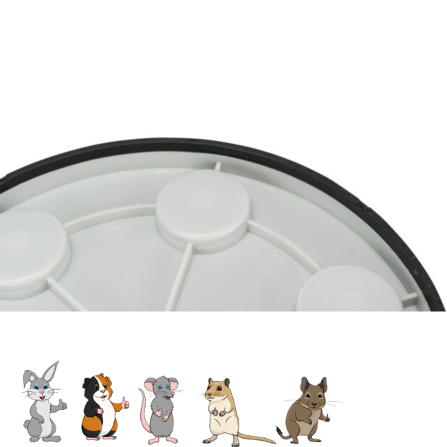 Snack board - Verrijkingsspel voor konijnen en knaagdieren - ø 20 cm - Grijs