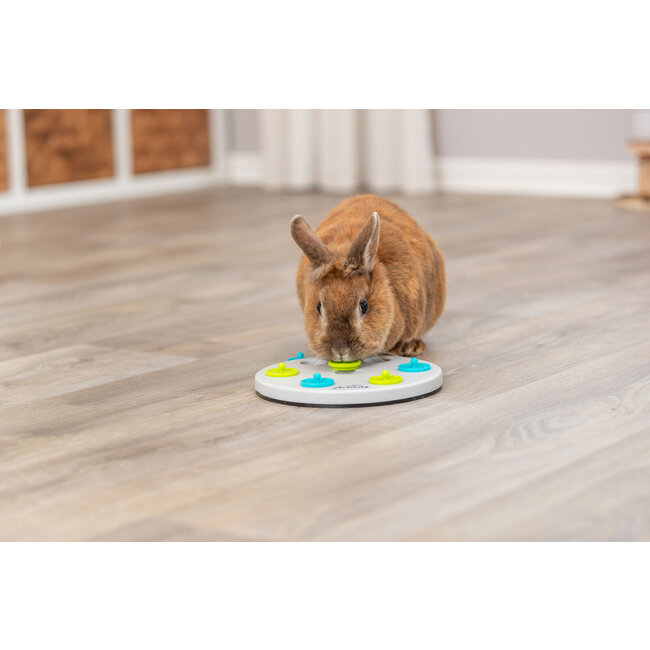 Snack board - Verrijkingsspel voor konijnen en knaagdieren - ø 20 cm - Grijs