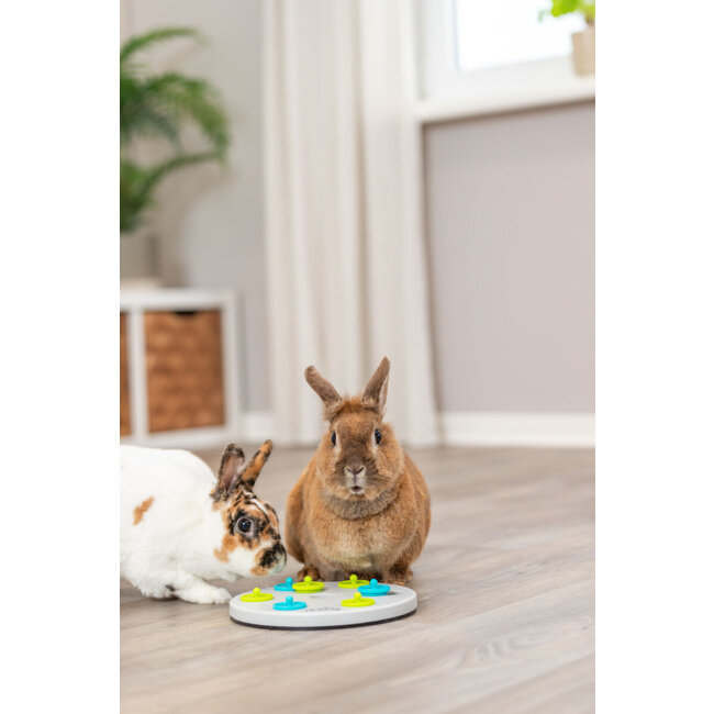 Snack board - Verrijkingsspel voor konijnen en knaagdieren - ø 20 cm - Grijs