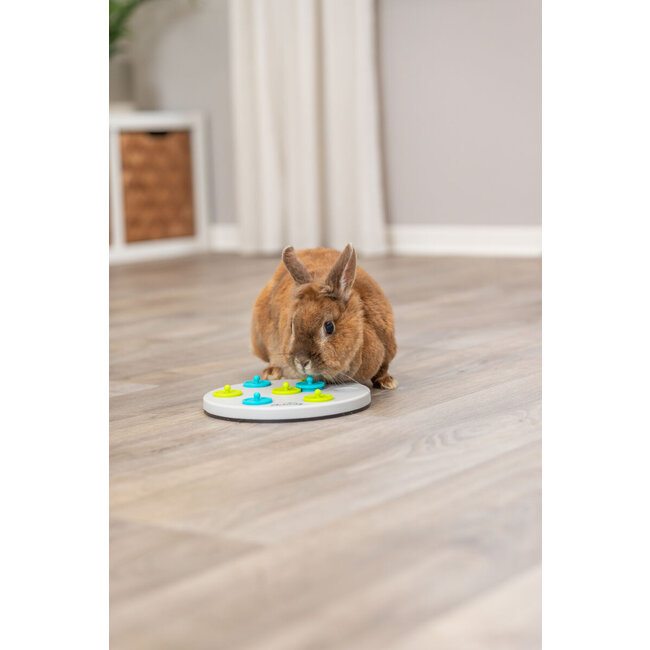 Snack board - Verrijkingsspel voor konijnen en knaagdieren - ø 20 cm - Grijs