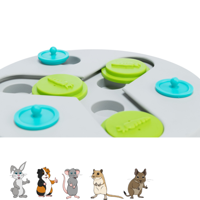 Slide & Fun board - Verrijkingsspel voor konijnen en knaagdieren - ø 23 cm - Grijs