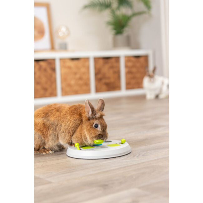 Flip board - Enrichment game for rabbits and rodents - ø 23 cm - Grey