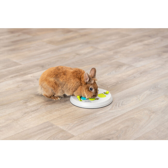 Flip board - Enrichment game for rabbits and rodents - ø 23 cm - Grey