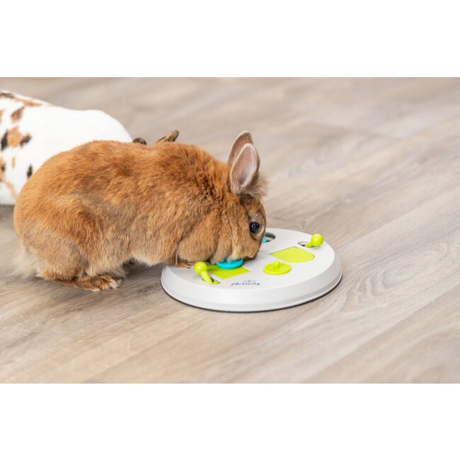 Flip board - Enrichment game for rabbits and rodents - ø 23 cm - Grey