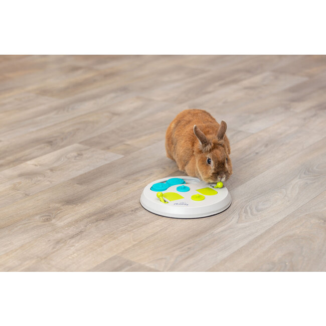 Flip board - Enrichment game for rabbits and rodents - ø 23 cm - Grey