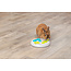 Flip board - Enrichment game for rabbits and rodents - ø 23 cm - Grey