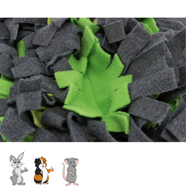 Snuffle Mat 27 x 20 cm, Gray/Green