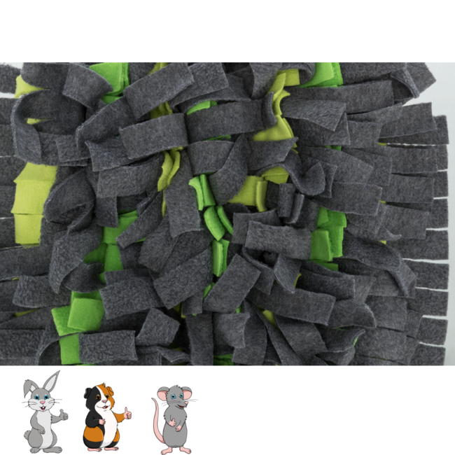 Snuffle Mat 27 x 20 cm, Gray/Green