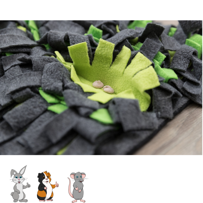 Snuffle Mat 27 x 20 cm, Gray/Green