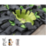 Snuffle Mat 27 x 20 cm, Gray/Green