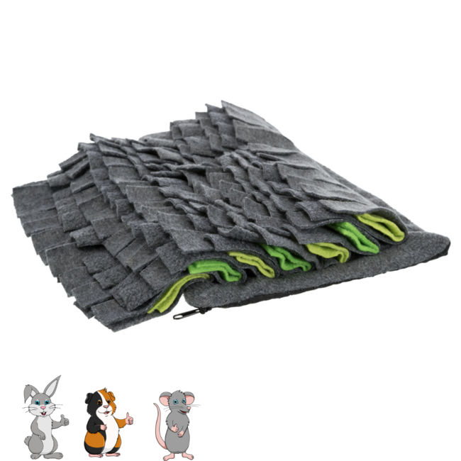 Snuffle Mat 27 x 20 cm, Gray/Green