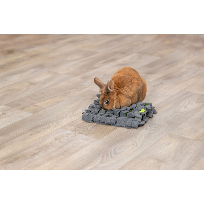 Snuffle Mat 27 x 20 cm, Gray/Green