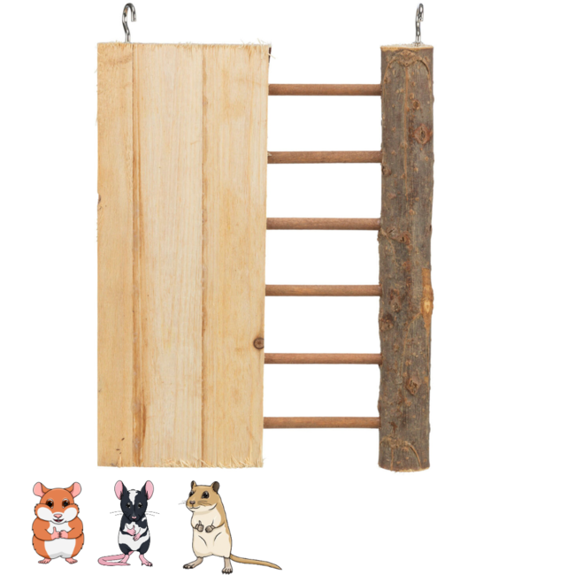 Climbing Wall 16 × 20 cm