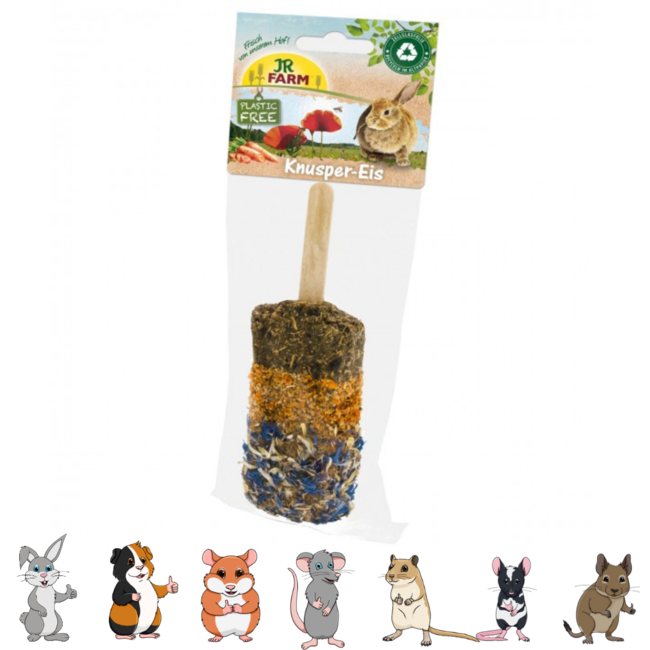 JR Farm Crunchy Ice Pop - Snack for Rabbits and Rodents - 45 grams