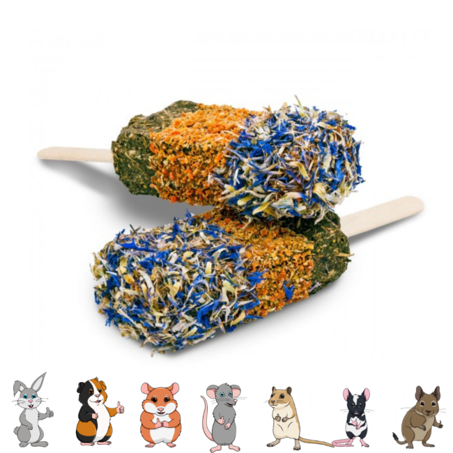 JR Farm Crunchy Ice Cream 45g