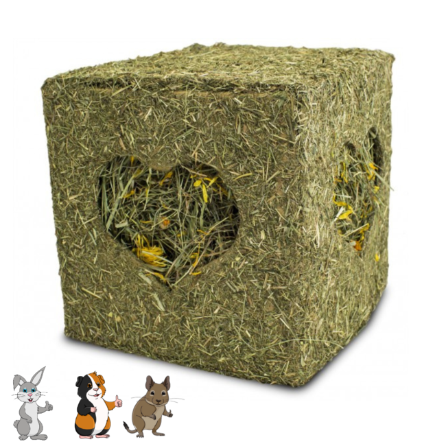 JR Farm Hooiblok met bloemen - Snack voor konijnen en cavia's - 450 gram