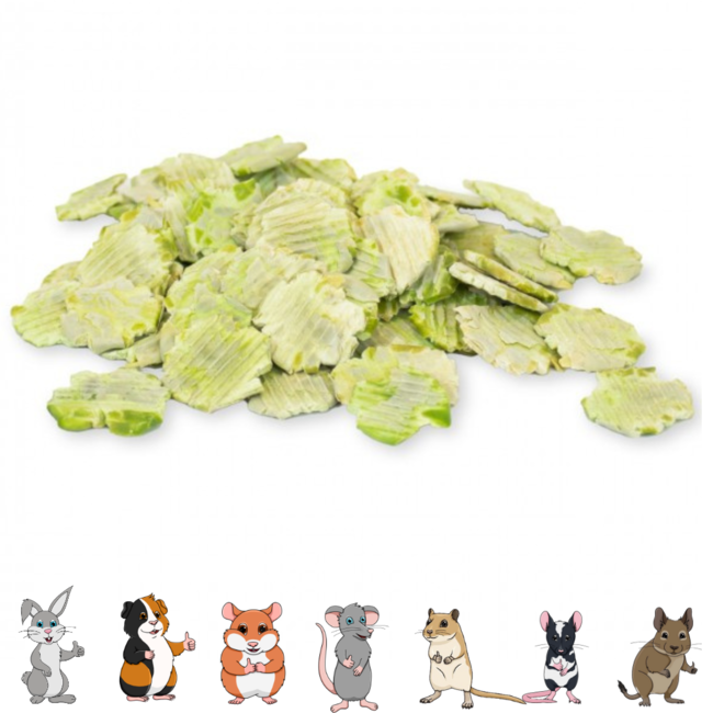 JR Farm Gourmet bord - Snack voor konijnen en knaagdieren - 100 gram