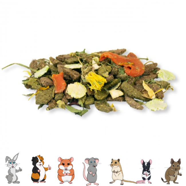 JR Farm Gourmet board - Snack for rabbits and rodents - 100 grams