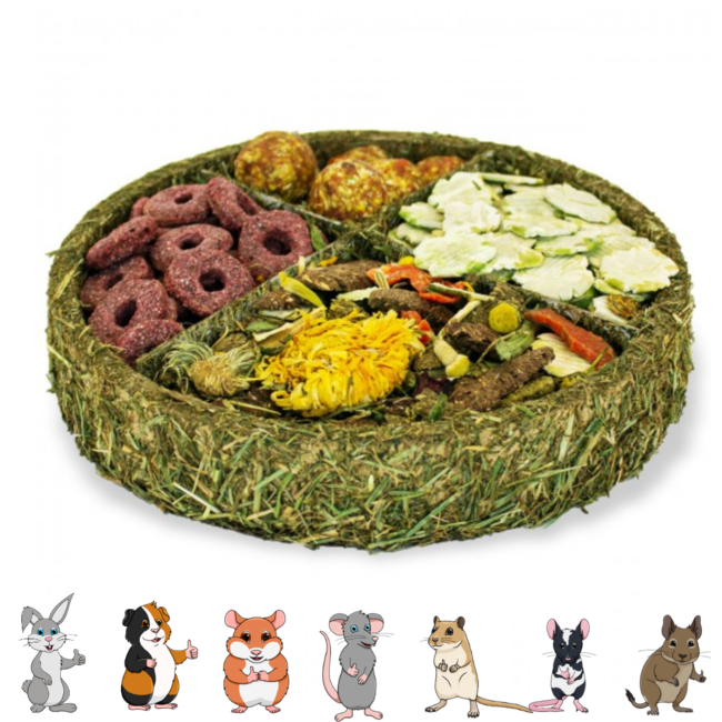 JR Farm Gourmet bord - Snack voor konijnen en knaagdieren - 100 gram