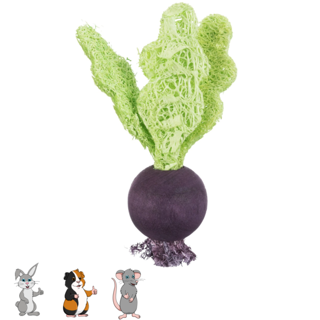 Trixie Set Aardbei/Rode Biet - Knaagmateriaal voor konijnen en knaagdieren - 6/9 cm