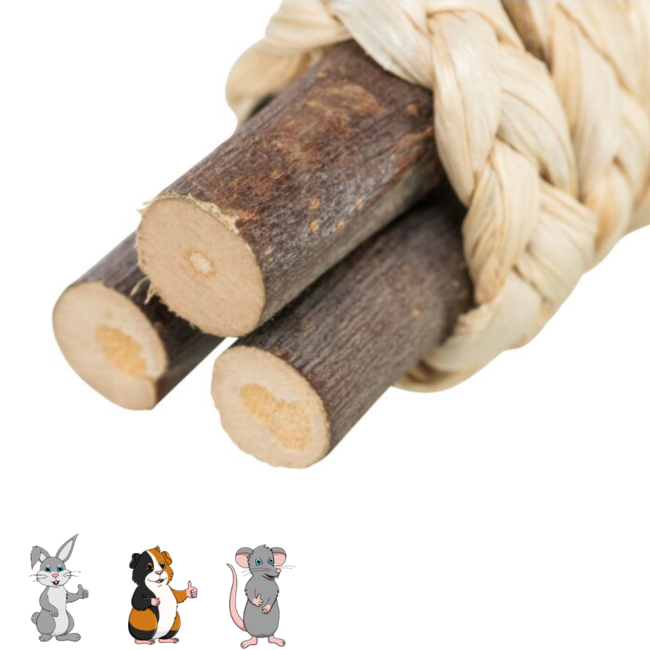 Trixie Houten Sticks met Stro - Knaagspeelgoed voor konijnen, cavia's, hamsters, gerbils en muizen - 15 × 3 cm