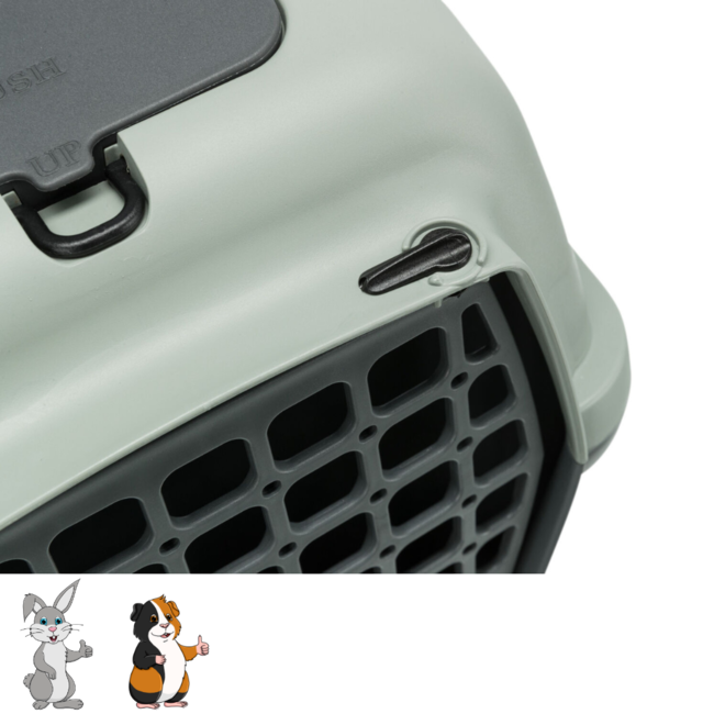 Transport crate for transporting large rabbits - 40 x 38 x 61 cm - Grey