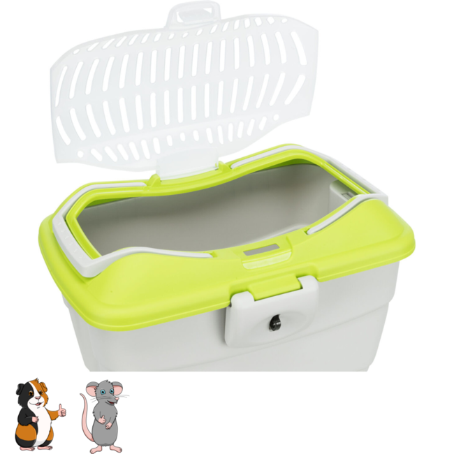 Vervoerskist Midi - Capri met deksel om cavia's en andere knaagdieren mee te vervoeren - 40x22x30 cm - Grijs / Groen