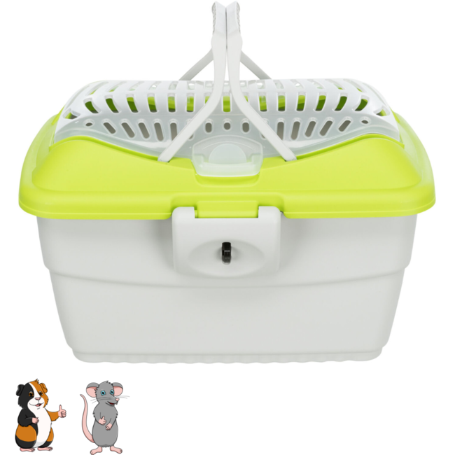 Transport Crate Midi - Capri with lid for transporting guinea pigs and other rodents - 40x22x30 cm - Grey / Green