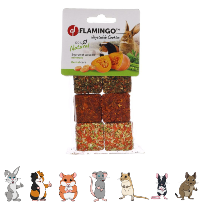 Vegetable Cookies 100 grams