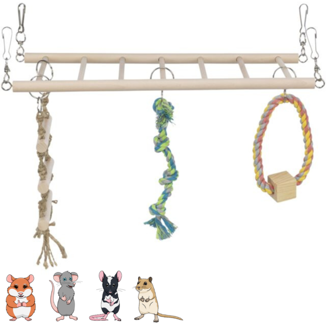 Rope Ladder Suspension Bridge - Climbing Toy for Rodents - 35 × 15 × 15 cm - Wood