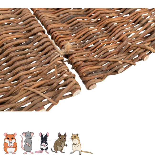 Corner Element - Chamfer for Rodent Enclosures - 20 x 10 x 13 cm - Willow