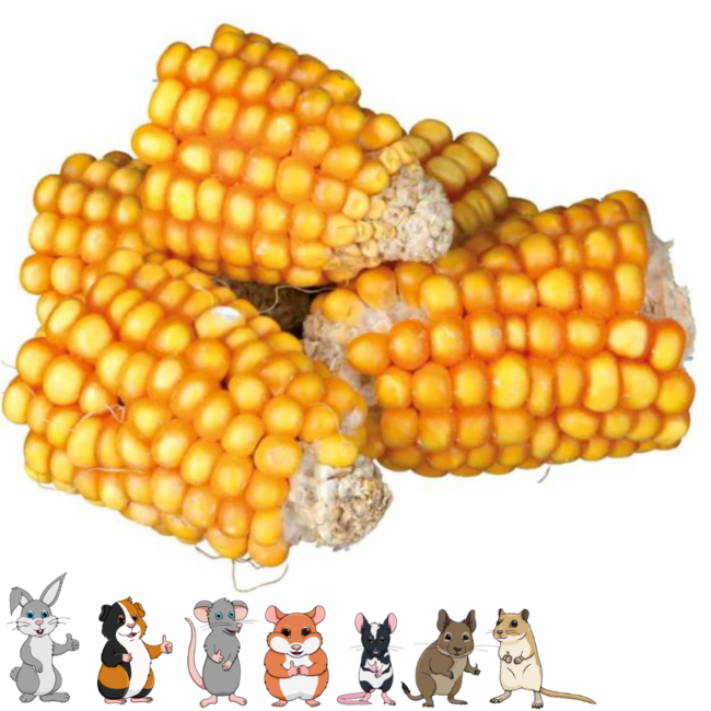 Corn Cob Pieces 300 g