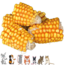 Corn cob pieces - Snack for rabbits and rodents - 6 pieces - 300 grams