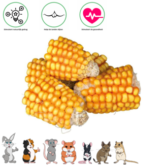 Trixie Corn cob pieces - 6 pieces