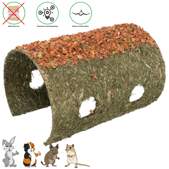 Shelter with Root 21 × 16 × 30 cm