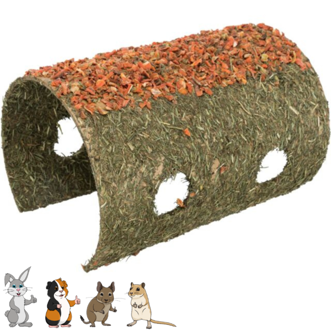 Shelter with Root 21 × 16 × 30 cm