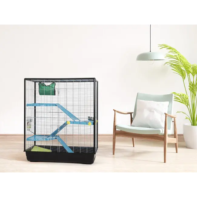 Grote kooi voor ratten met meerdere plateau's - 100 x 50 x 116 cm - Zwart / Blauw