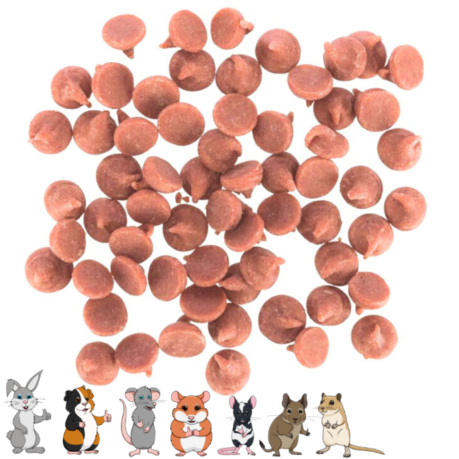 Bosvruchten Drops - Snack voor konijnen en knaagdieren - 75 gram