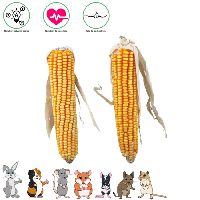 Maïskolven - Snack voor konijnen en knaagdieren - 2 stuks - 250 gram