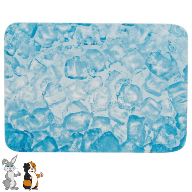Cooling plate for summer - Ceramic plate for rabbits and guinea pigs - 28 × 20 cm - Blue