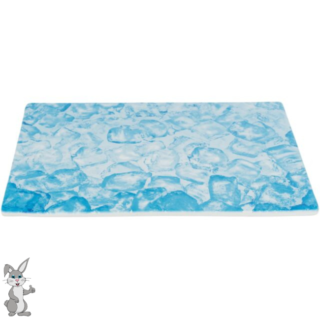 Cooling Plate 35 x 25 cm, Blue